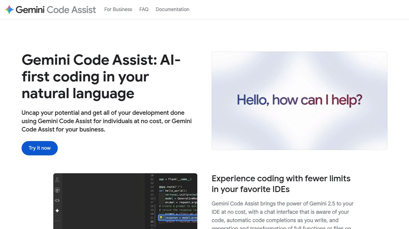 Google Gemini Code Assist