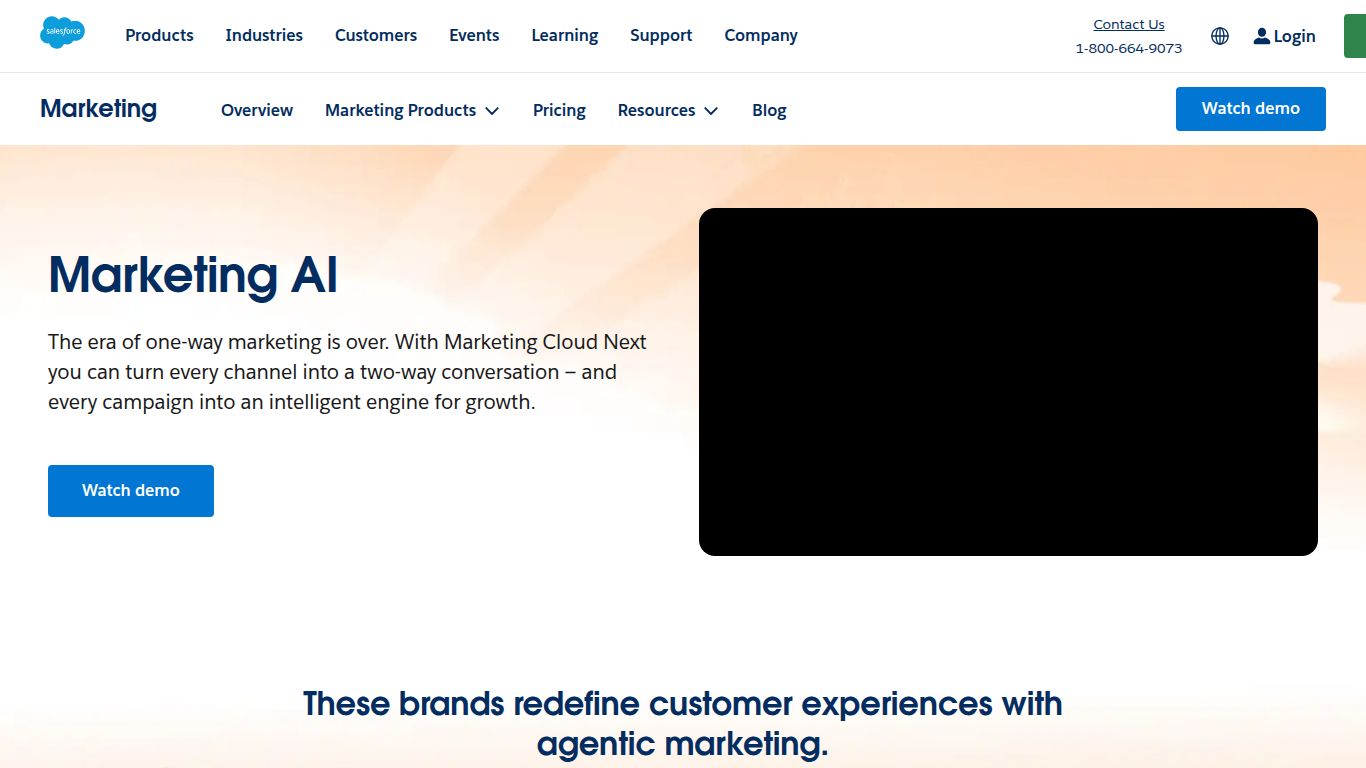 Salesforce Marketing Cloud — Einstein AI