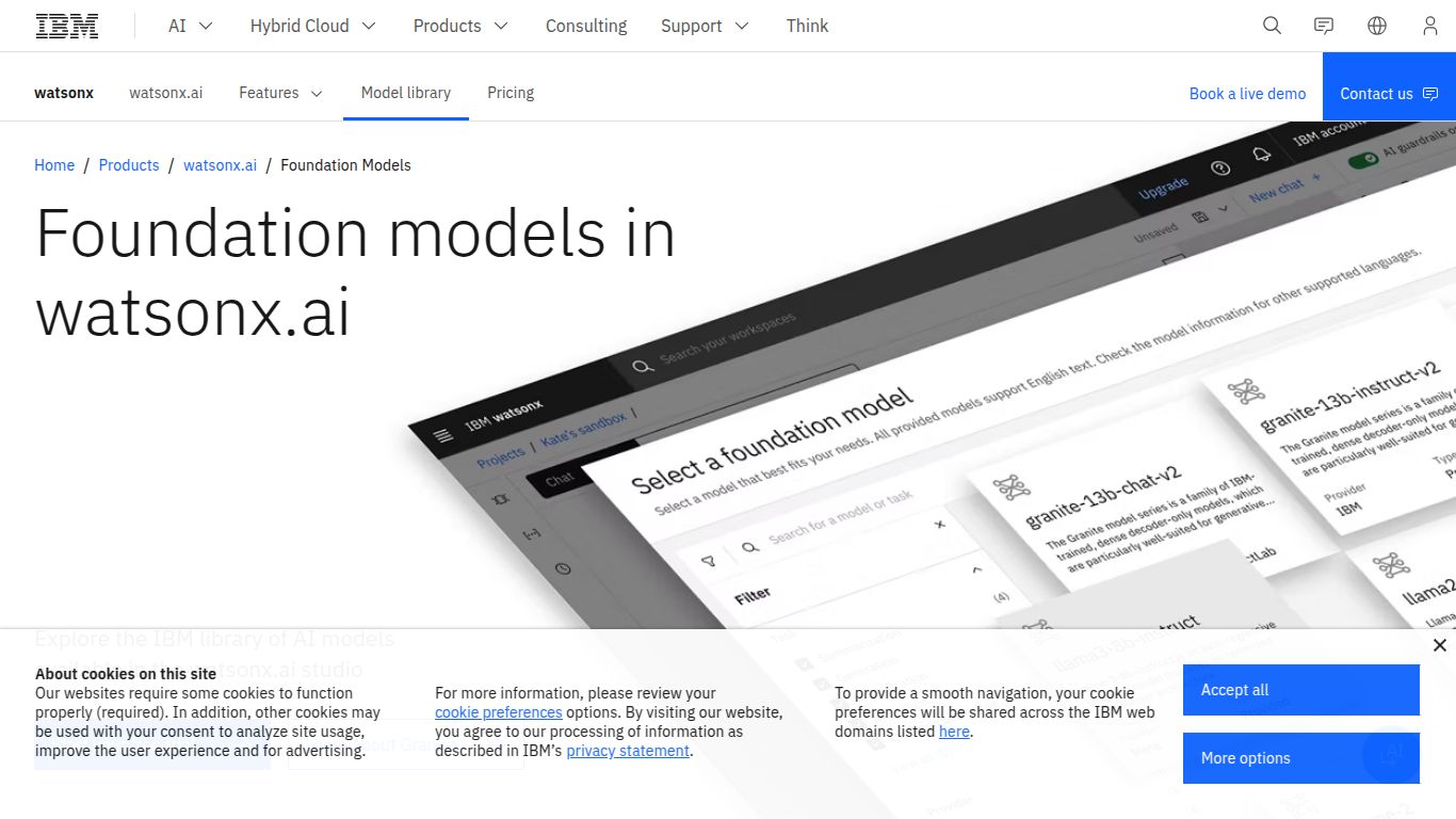 IBM watsonx.ai Foundation Model Library